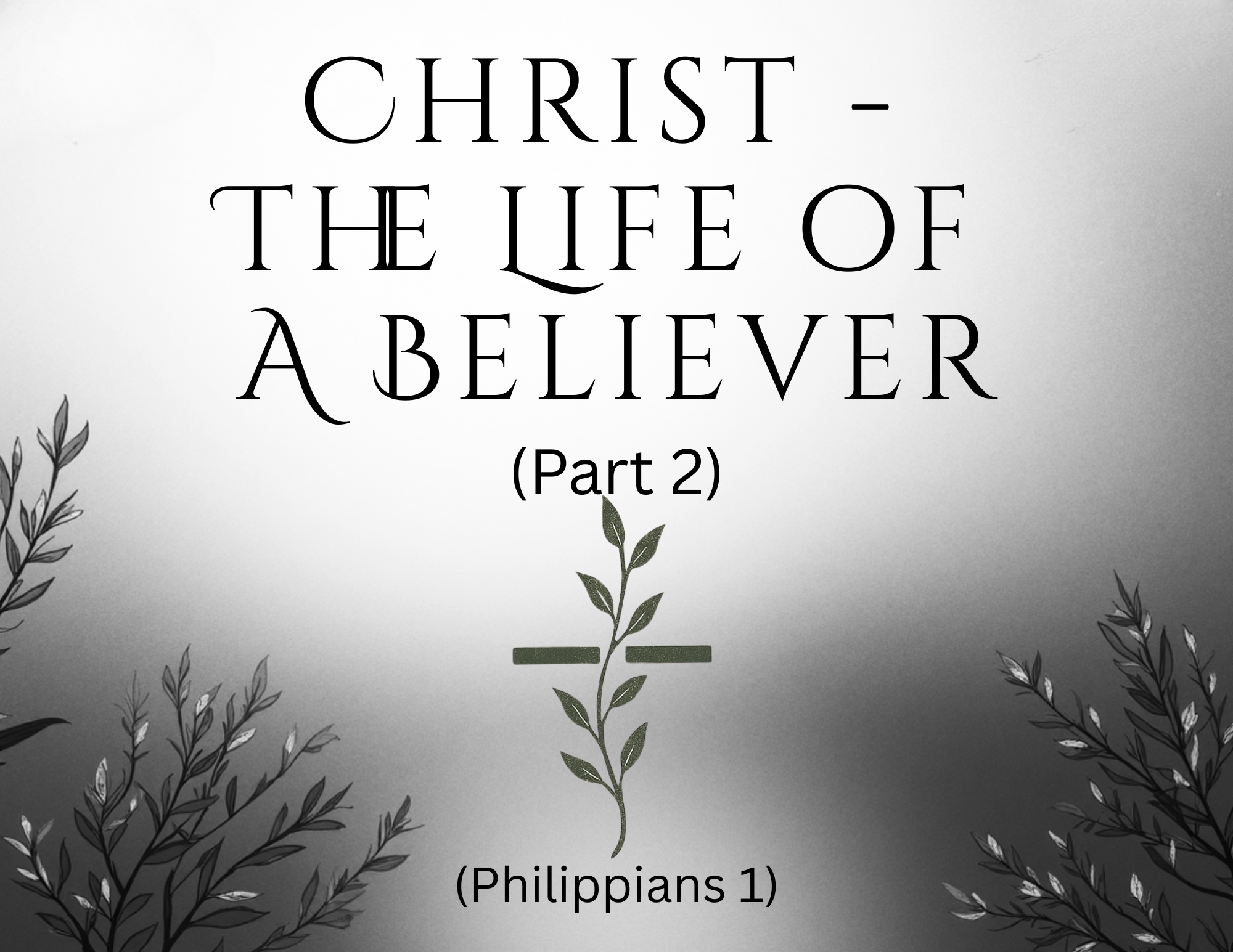 A Believer’s Solid Joy part 2 Leadership