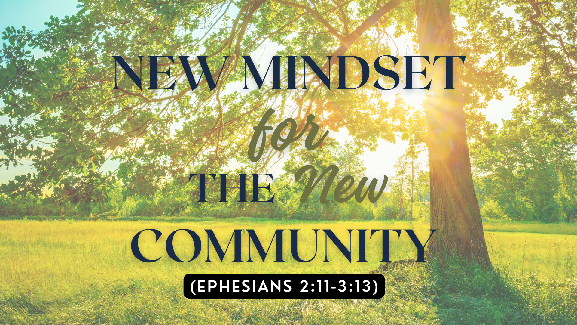 The New Mindset for the New Community Leadership