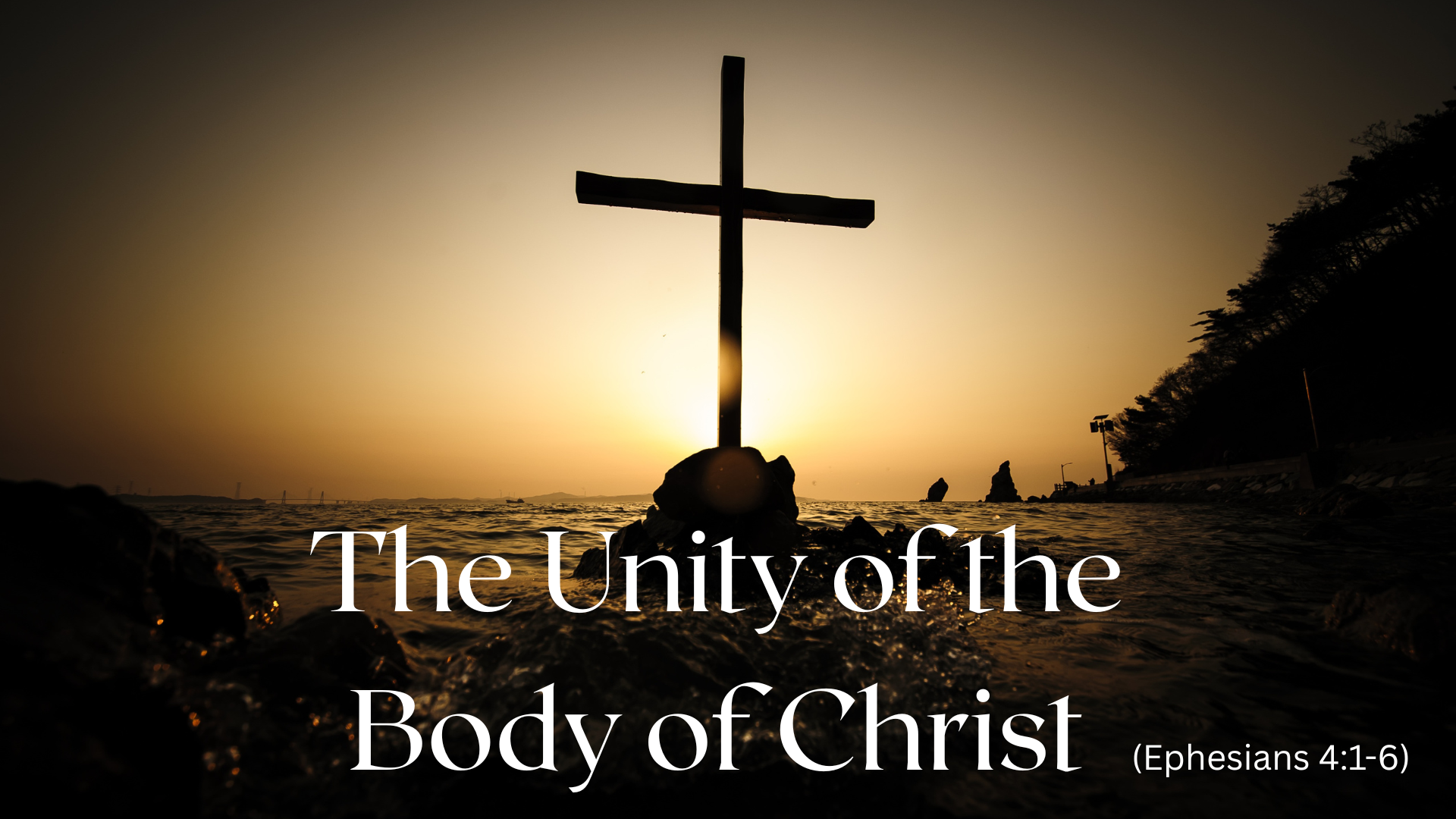 The Unity of the Body of Christ Leadership